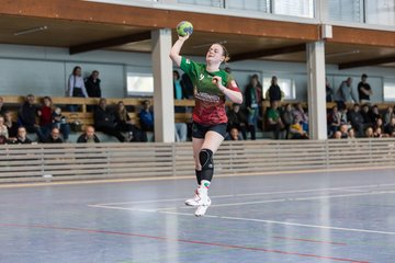 Bild 254 - F HSG Kremperheide/Muensterdorf - ATSV Stockelsdorf 2 : Ergebnis: 47:32